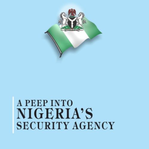 A peep into Nigeria's Security Agency's